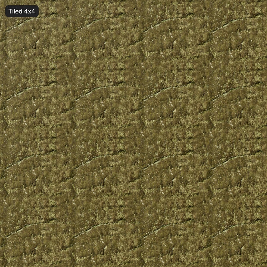 Mossy Cliff Rock Texture, Green