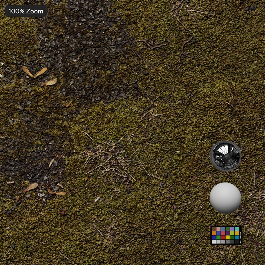 Mosachtige grindgrondtextuur