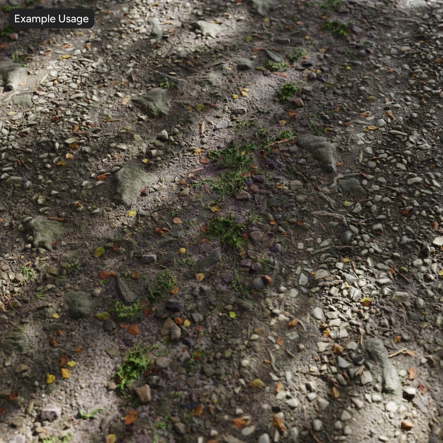 Bladeren op rotsachtige grond Vuilpadtextuur