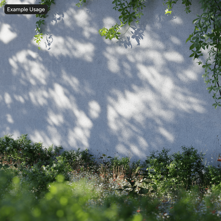 Stucco Plaster Texture, White