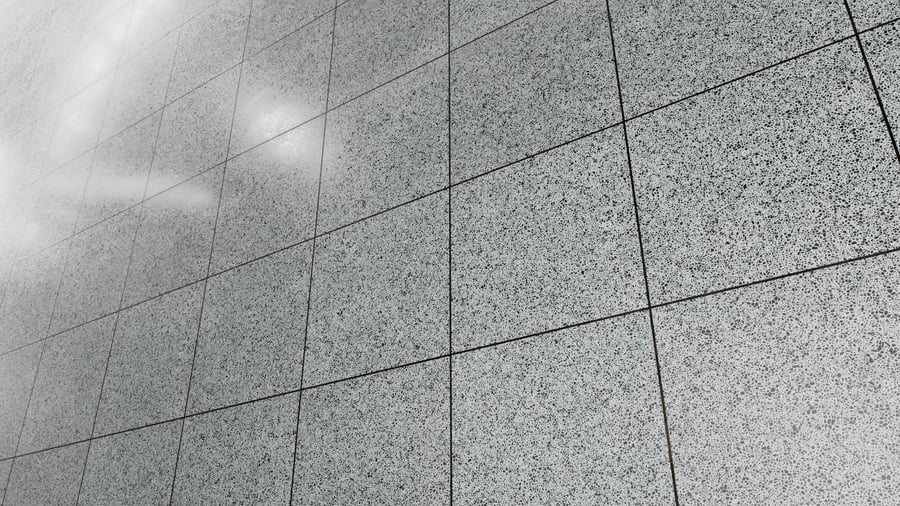 Speckled Honed In Situ Standard Terrazzo Texture, Black