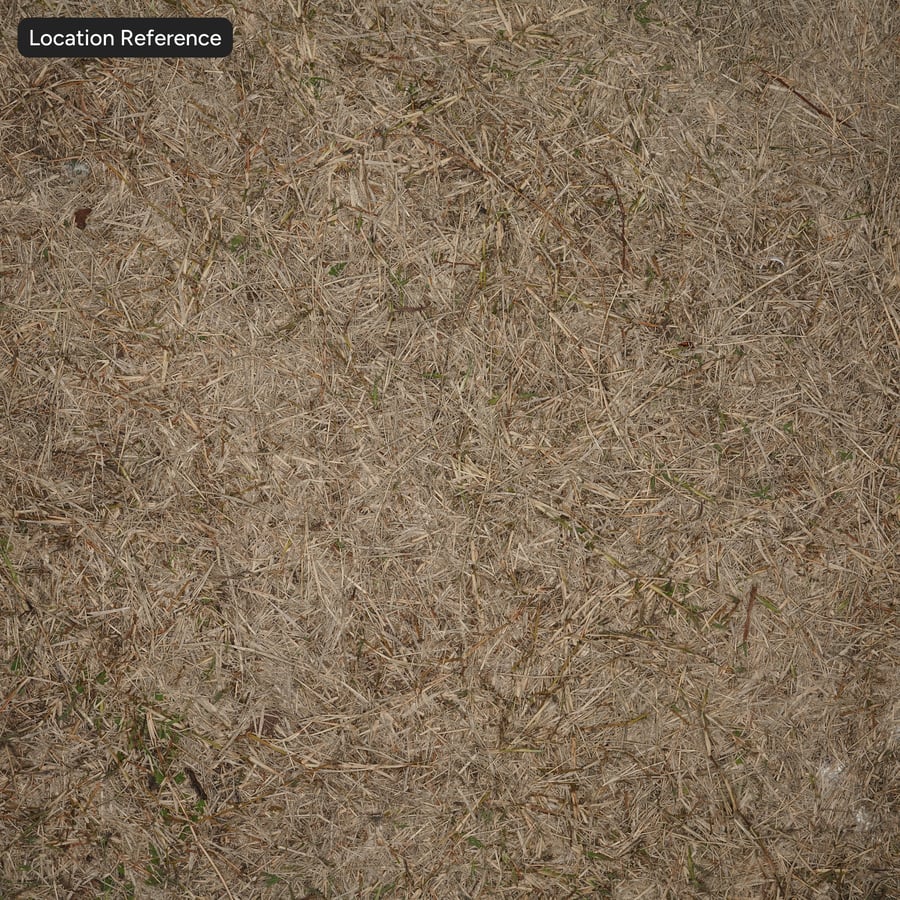 Ξηρό άχυρο χόρτο στο έδαφος Υφή