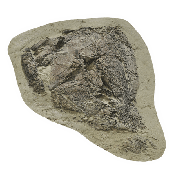Modello di roccia bassa e fessurata