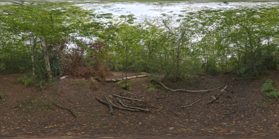 Hdr Outdoor Epping Forest Day Overcast 001