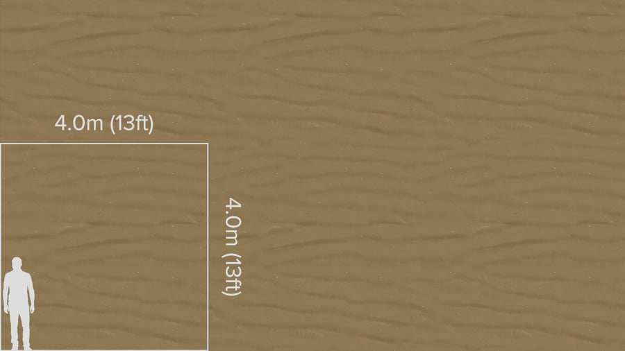 Damp Shoreline Sand Texture