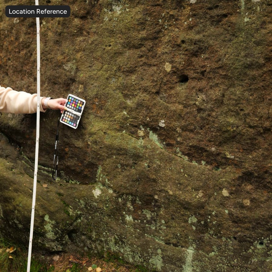 Textura de roca cubierta de musgo liquen, amarilla