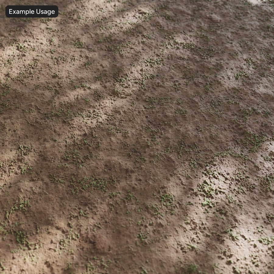 Ervas daninhas esparsas em textura de terra