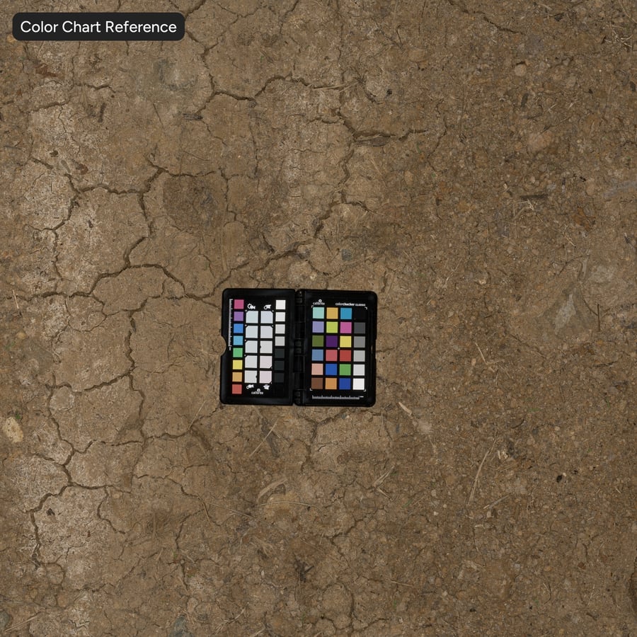 Pitted Dirt Road Texture