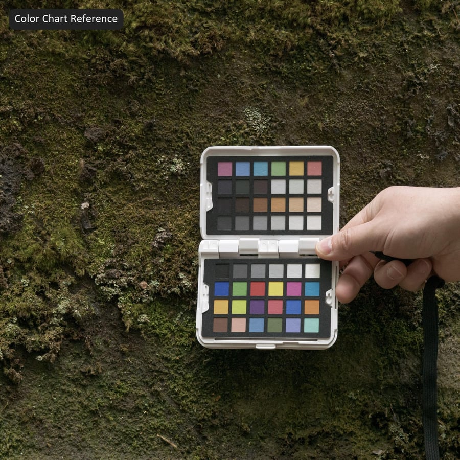 Tekstur Batu Tebing Berlumut