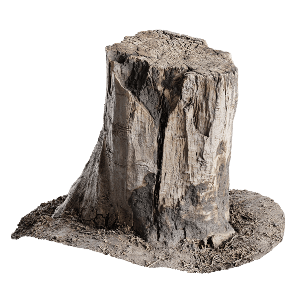 Medium Burned Cut Deciduous Stump Model