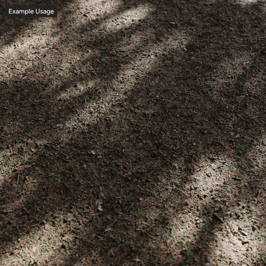 Folhas de pinheiro secas no solo Textura