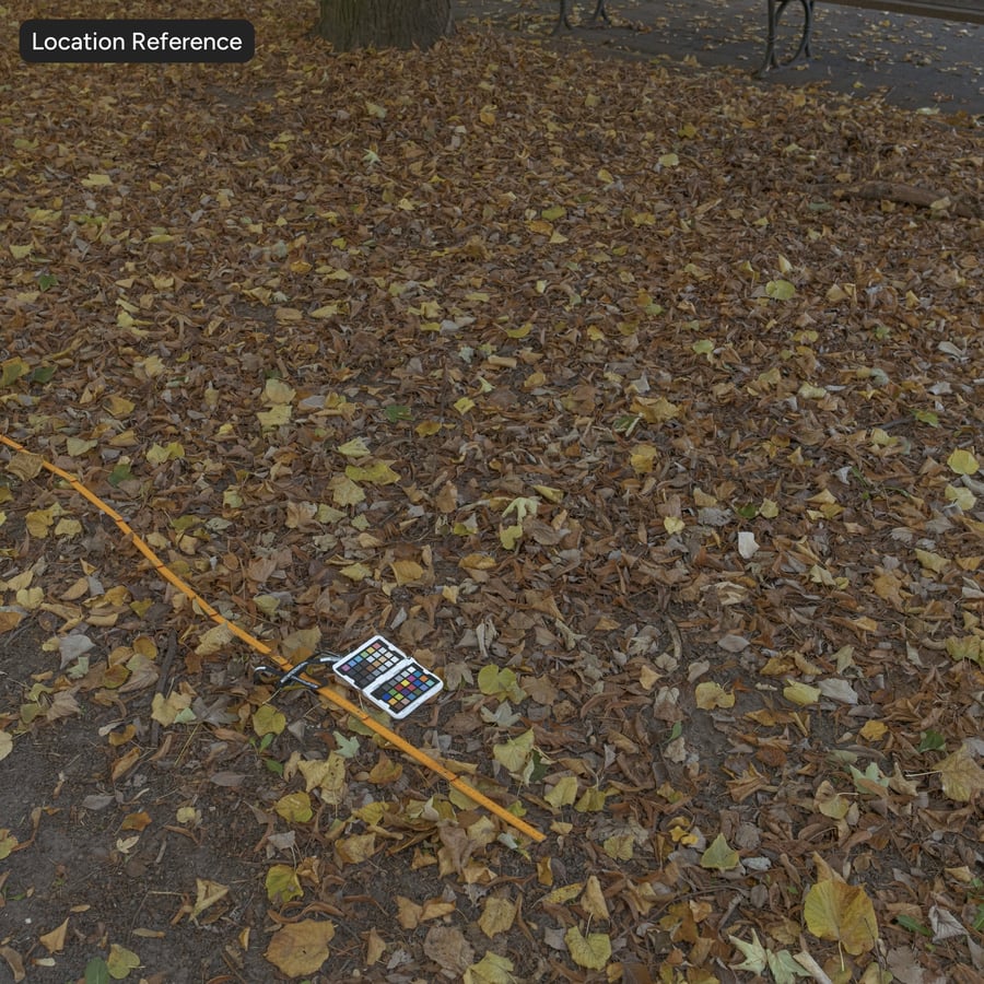 Folhas de outono em textura de terra