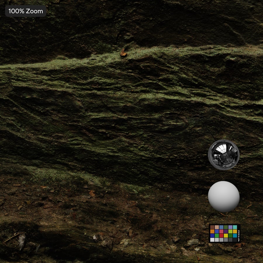 Texture de falaise rocheuse dans une forêt moussue