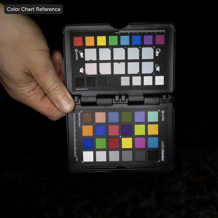 Textura de neve e folhas caídas na relva