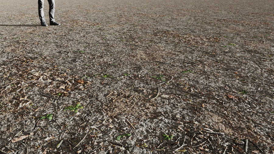 Textura de pequenos galhos espalhados pela floresta