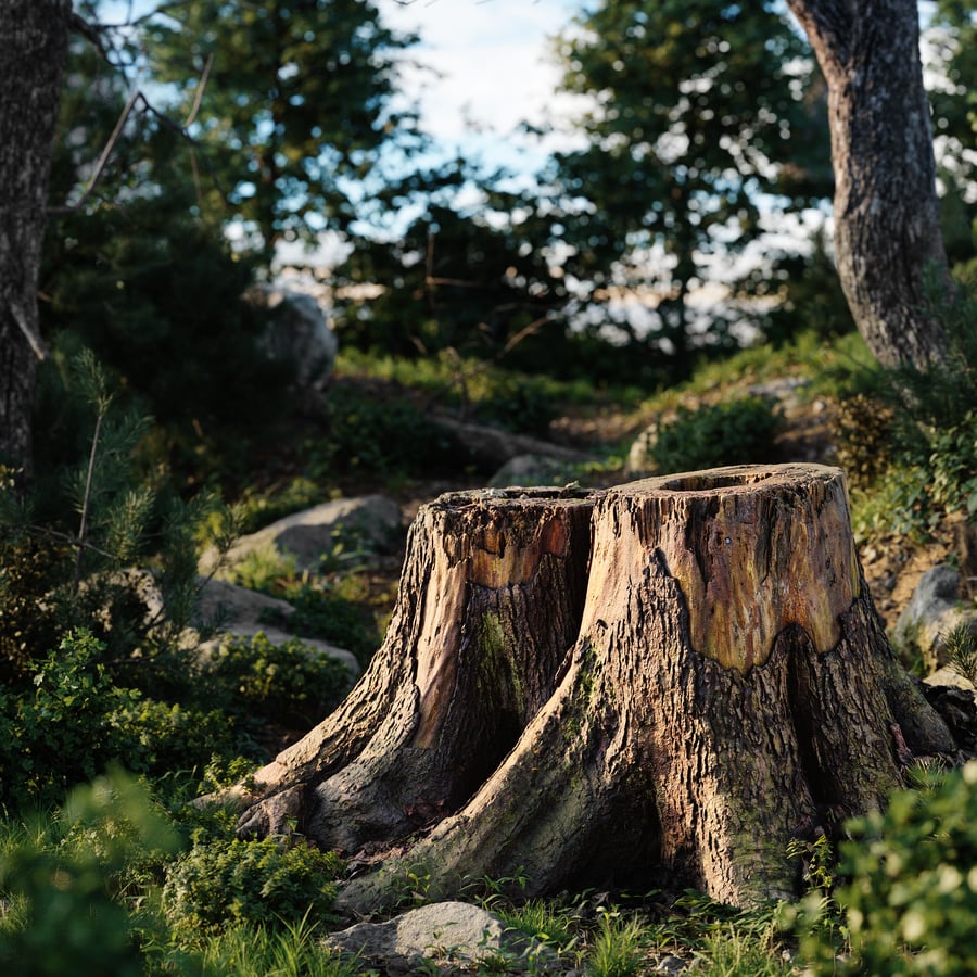 Short Cut Forest Twin Tree Stump Model