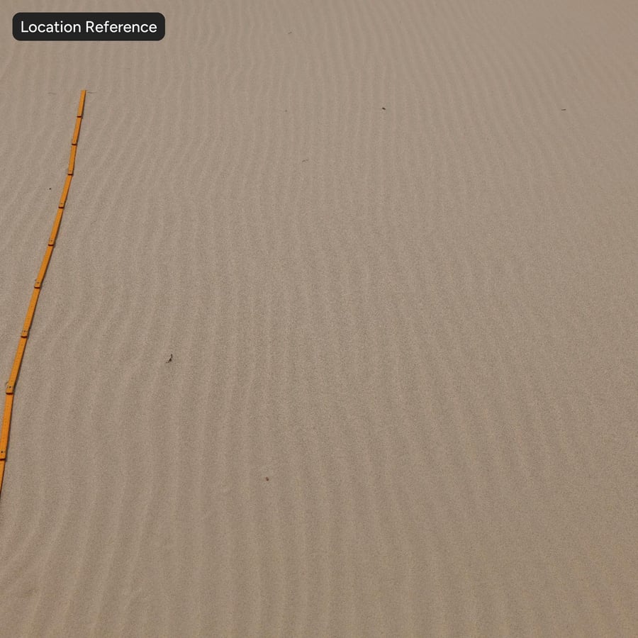 Dry Rippled Sand Texture