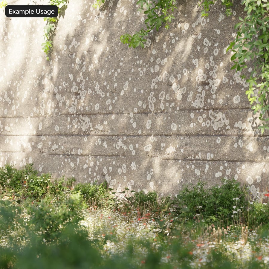 Poliigon Concrete Wall Lichen 10916