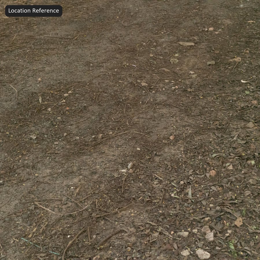 Forest Floor Soil Texture