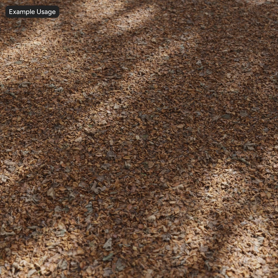 Autumn Forest Leaves Ground Texture