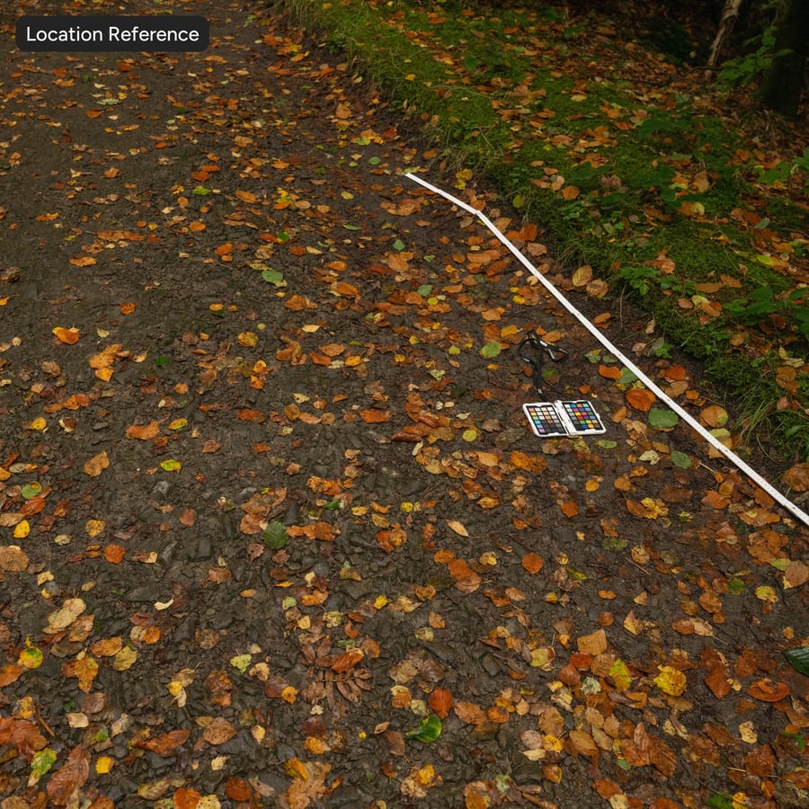 Herfstbladeren op rotsachtige ondergrond Textuur