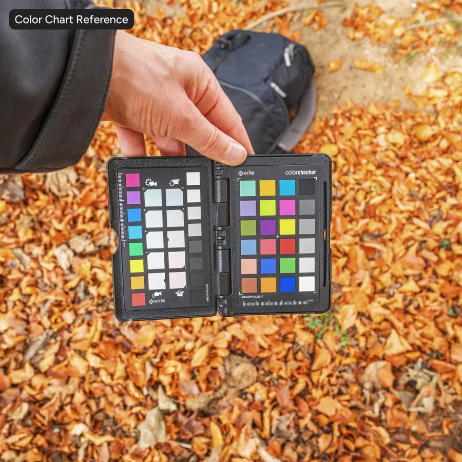 Autumn Forest Leaves Ground Texture