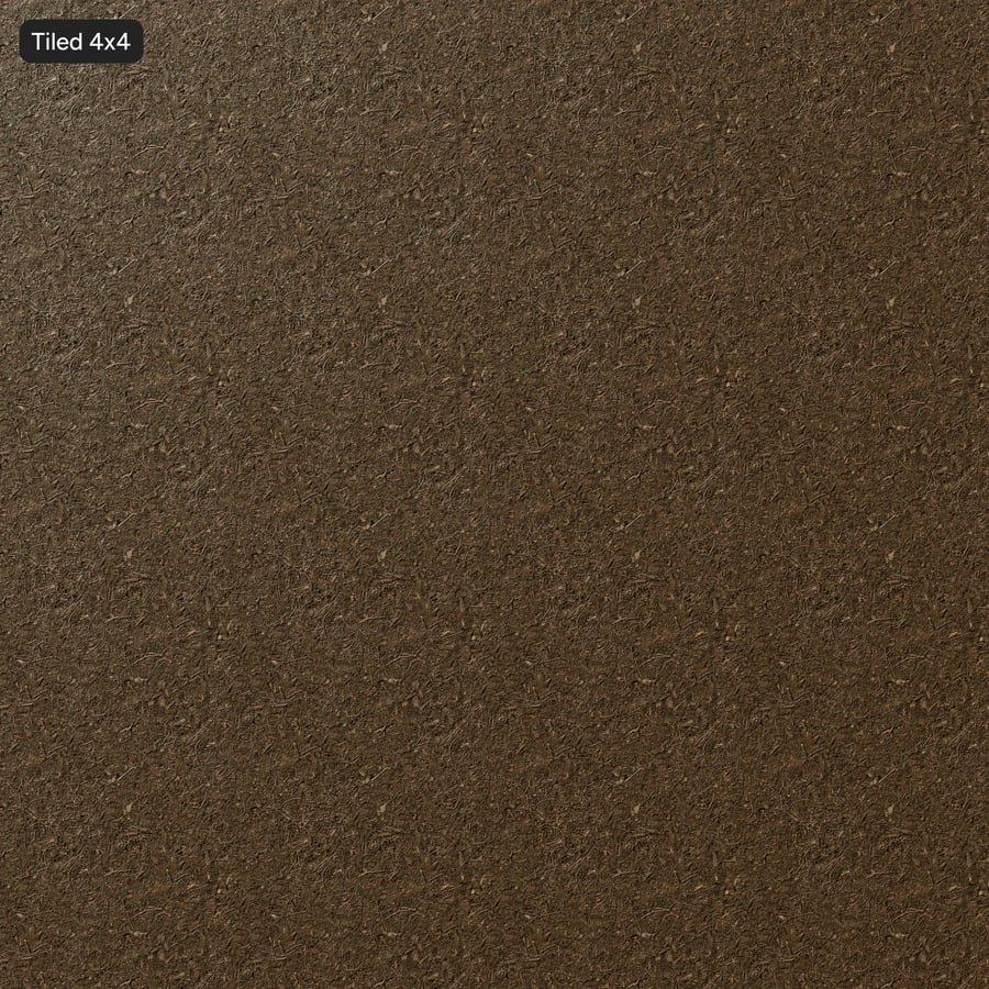 Stick Debris on Forest Texture