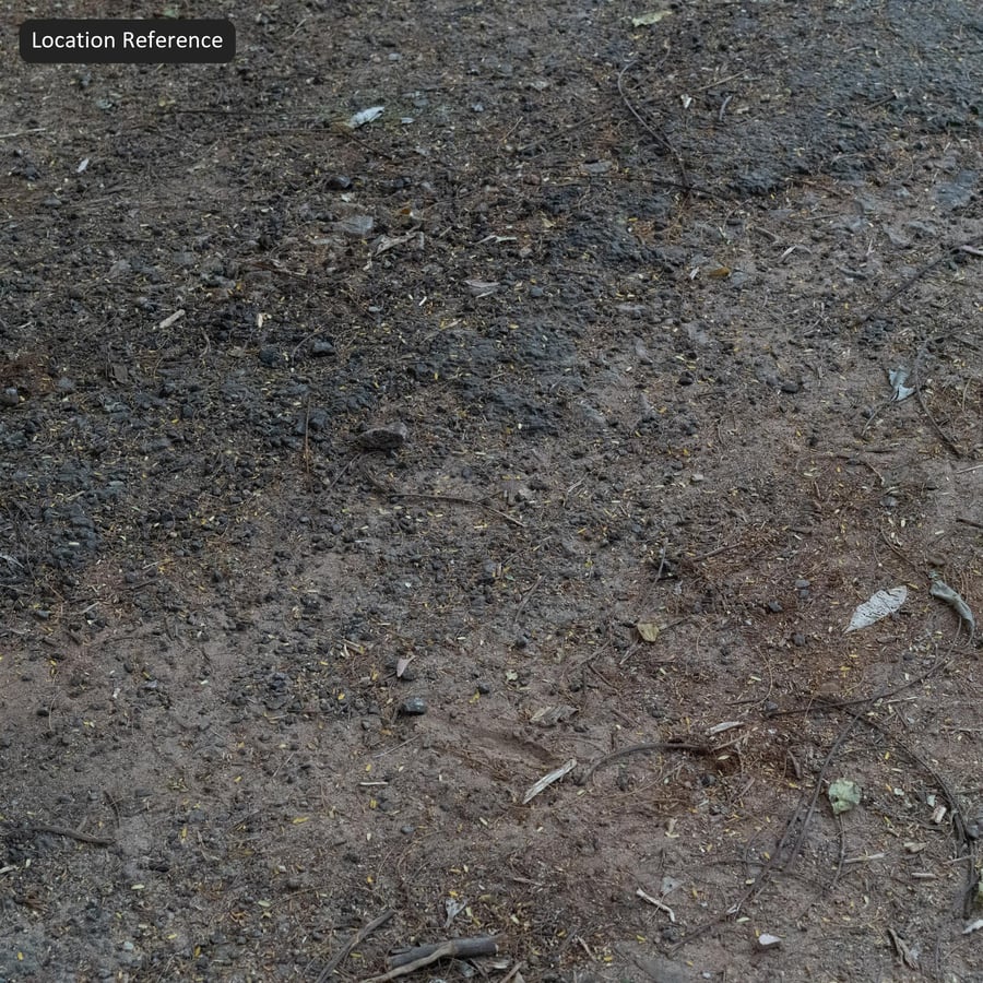 Beschädigtes Aggregat Asphalttextur