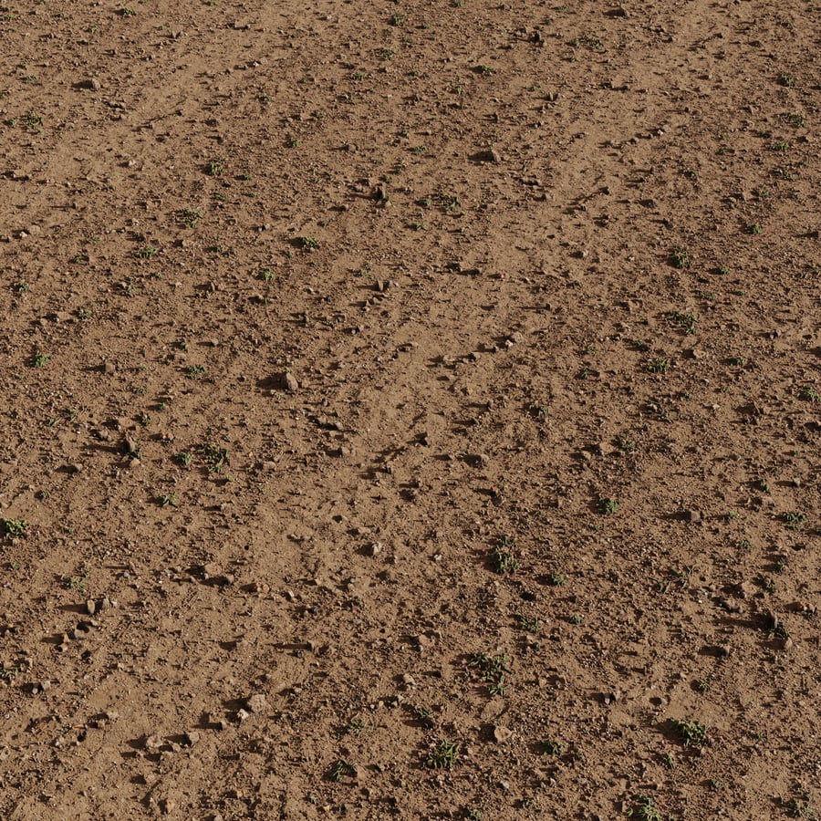 Scattered Rocks and Grass Patches Dirt Texture