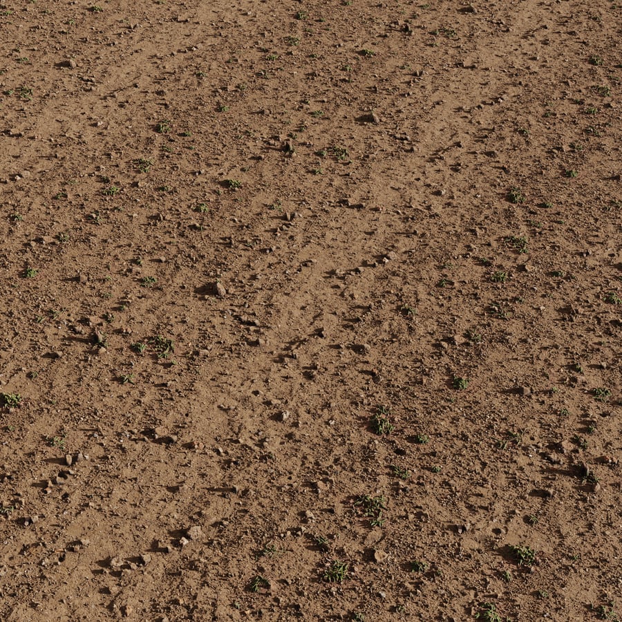 Rocky Soil with Grass Patches Ground Texture