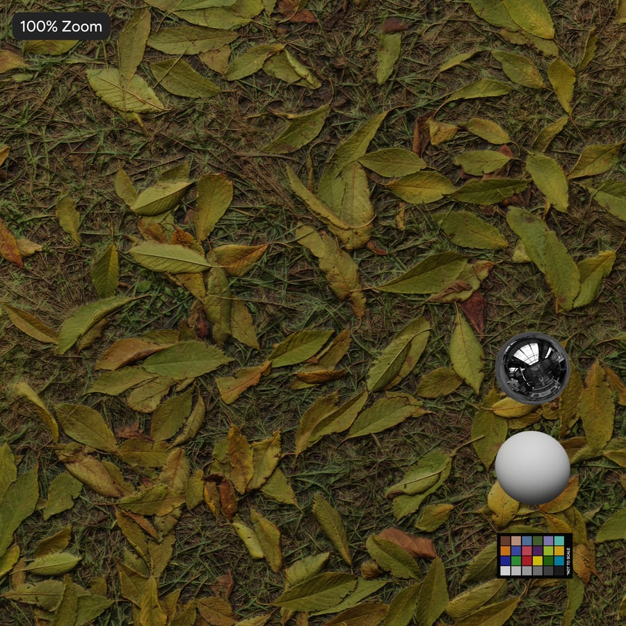 Leaves on Grass Texture