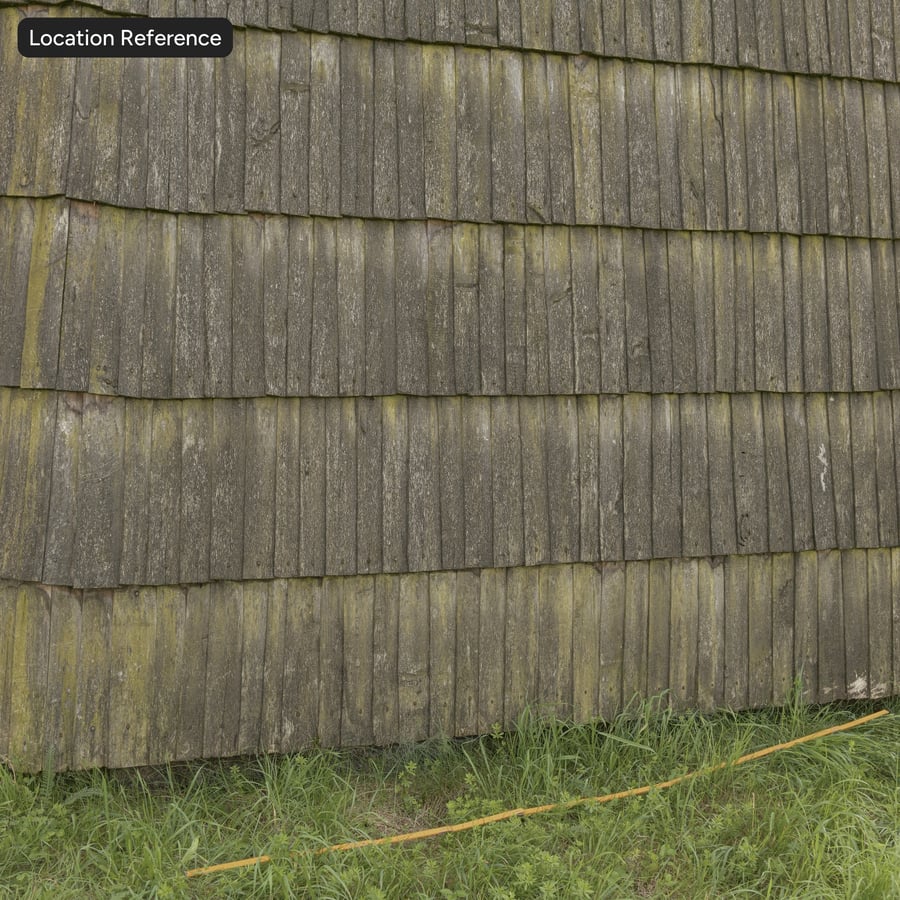 Texture de toiture en bois Mossy Shakes