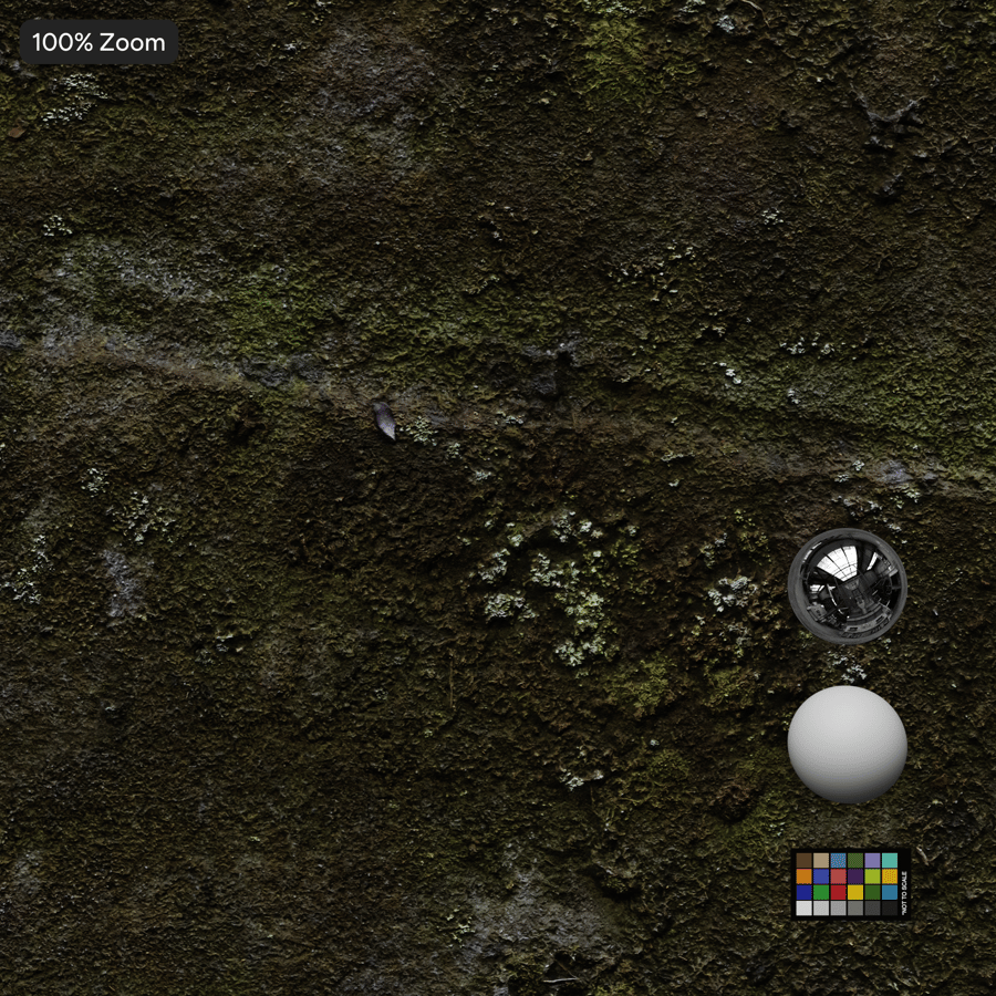 Mosachtige rotsstructuur