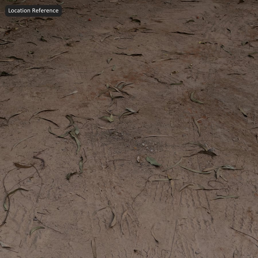 Hojas secas y marcas de neumáticos en la textura de un camino de tierra