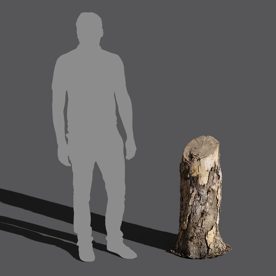 Modelo de tronco com lascas de corte médio