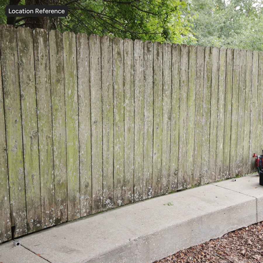 Textura de parede de tábua de madeira musgosa