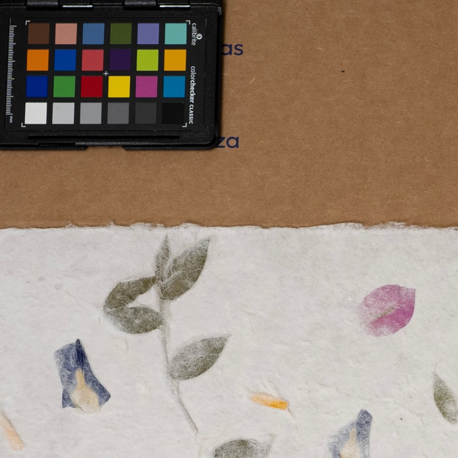 Texture di carta di gelso con Iris, Calendula e Bougainvilla