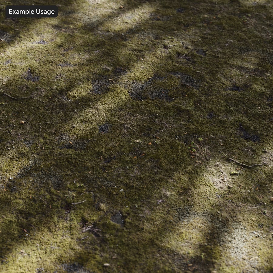 Mosachtige grindgrondtextuur