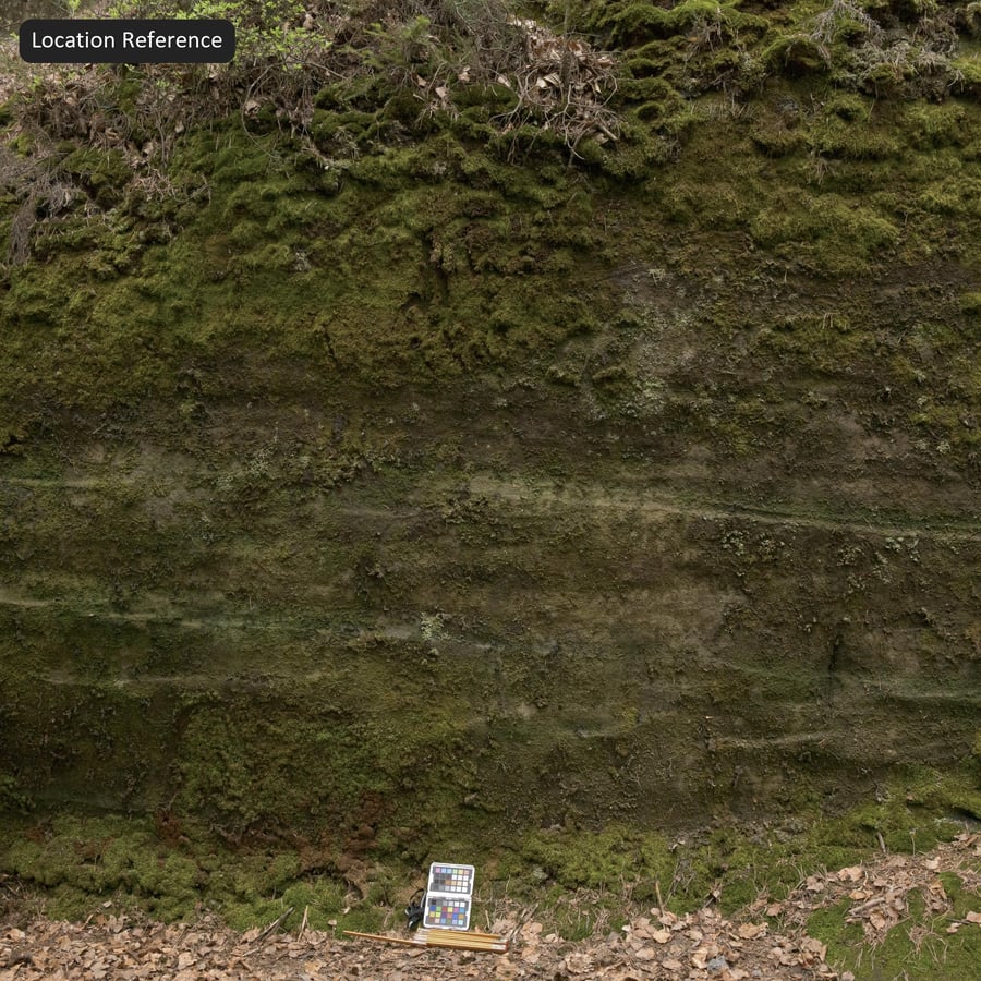 Mosachtige rotsstructuur