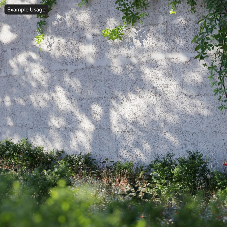 Coarse Stippled Cement Render Wall Texture, Off White