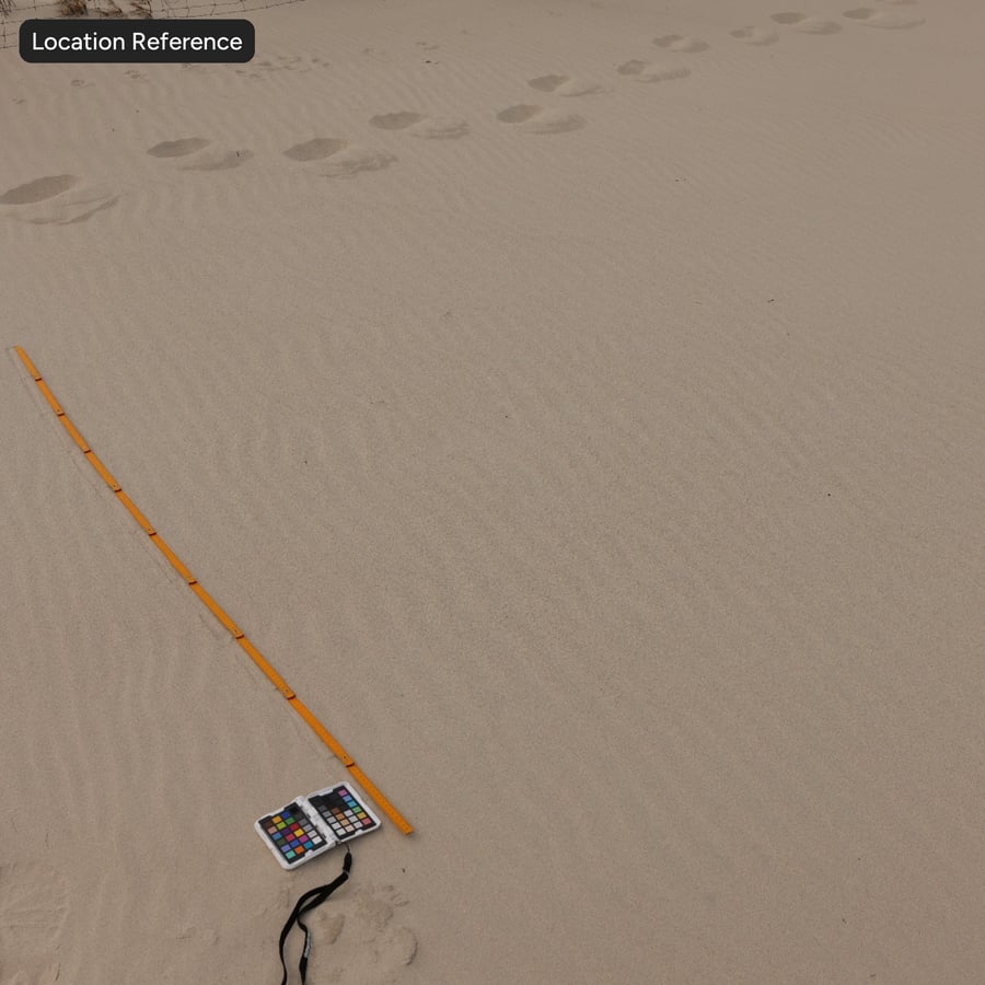 Textura de areia de praia ondulada