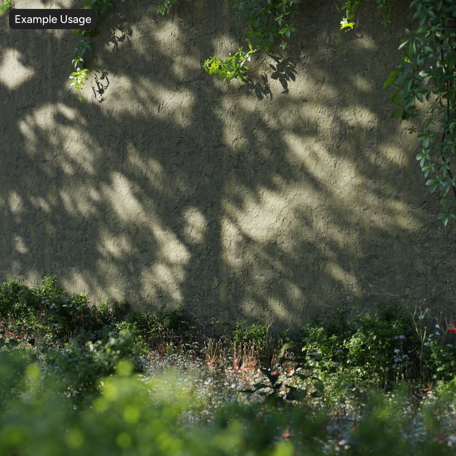 Mossy Concrete Wall Texture