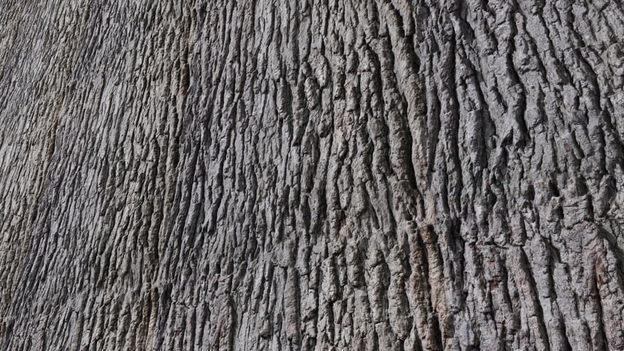 Bark Brown 012