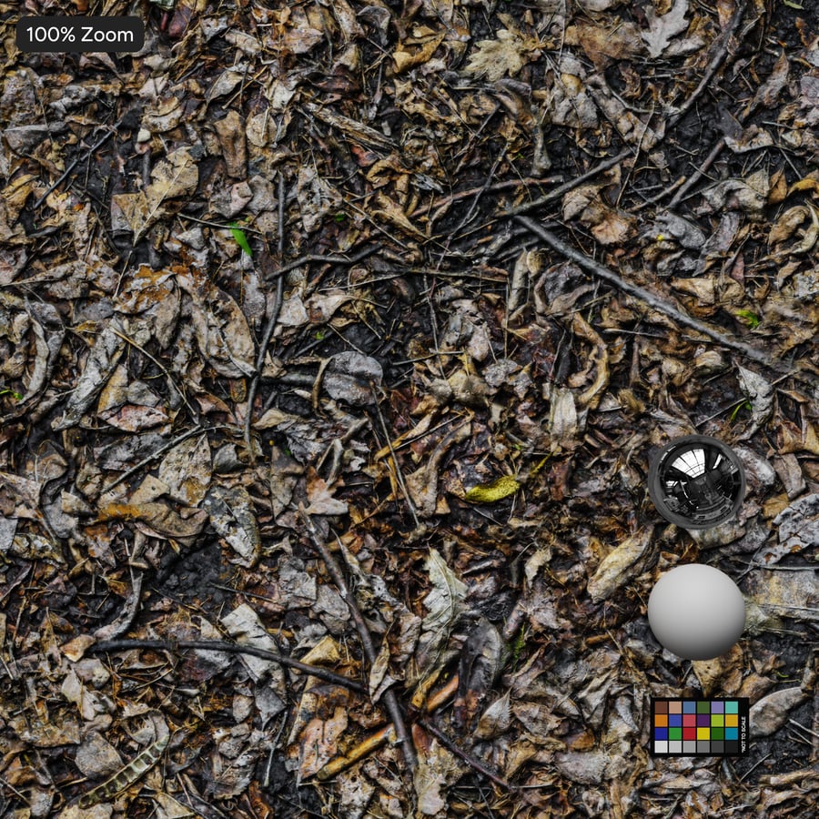 Texture de feuilles et de brindilles séchées, gris