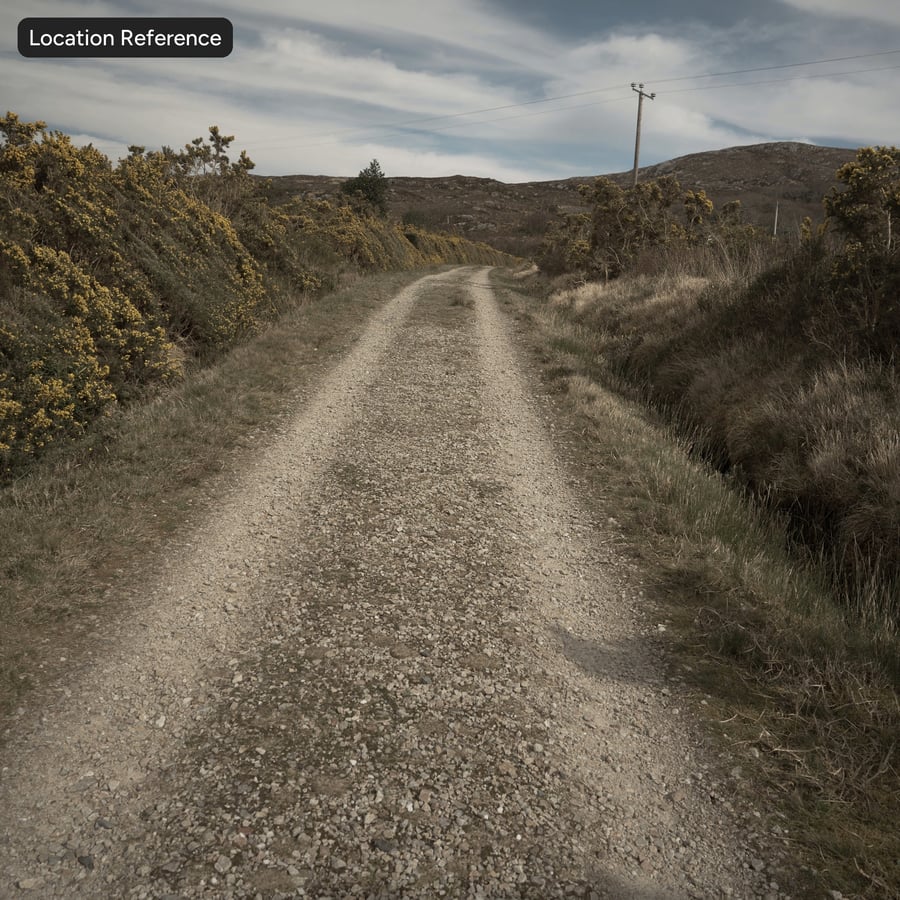 Texture de gravier moyen et d'herbe sur chemin de terre en vrac