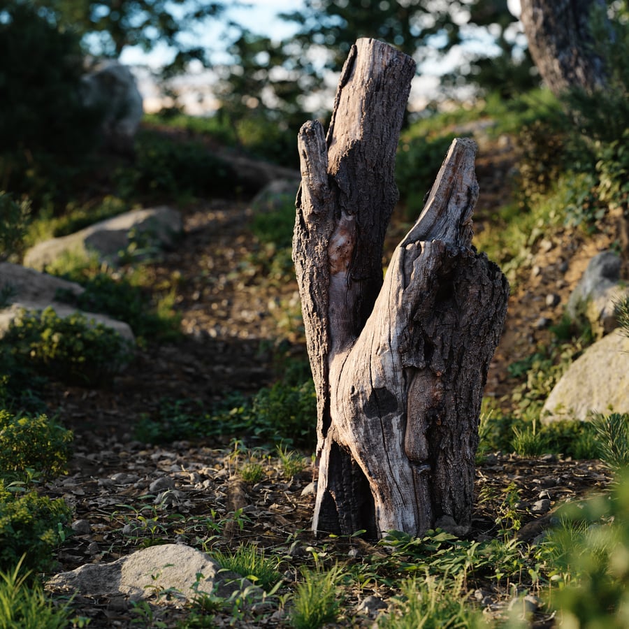 Tall Cut V-Shaped Deciduous Stump Model