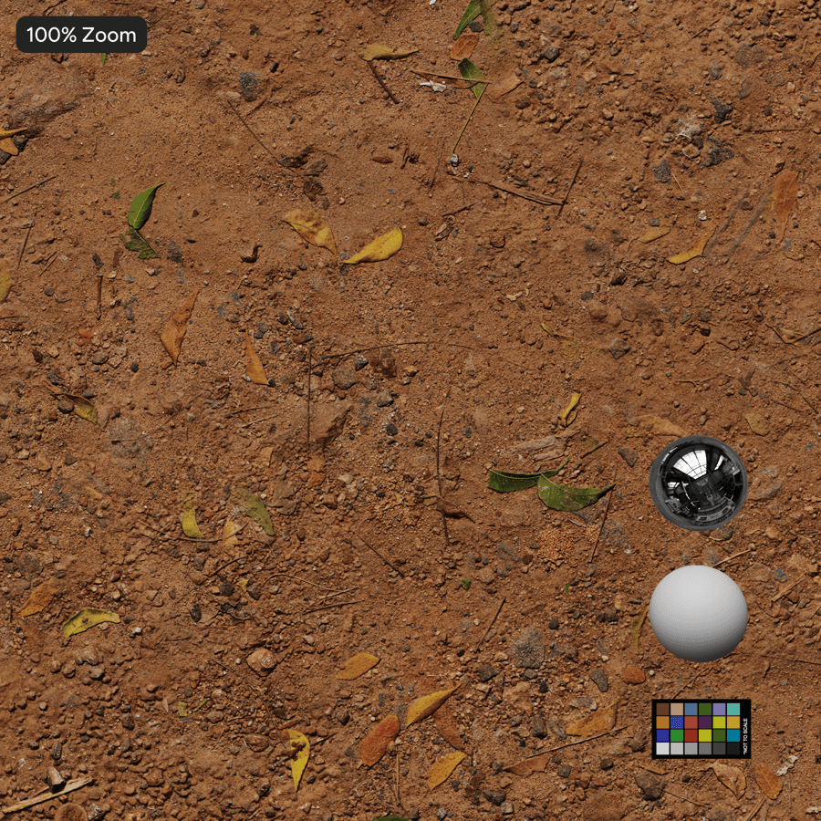 礫石泥路上的樹葉紋理，紅色