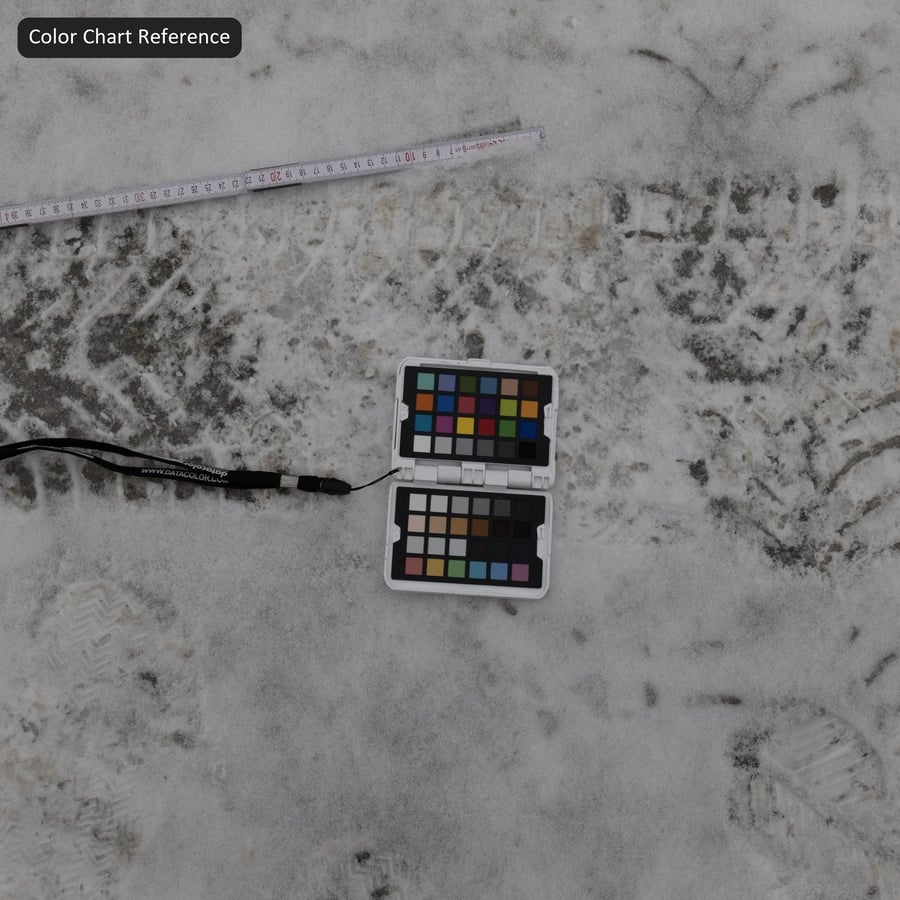 Dirty Tire Marks on Snow Texture