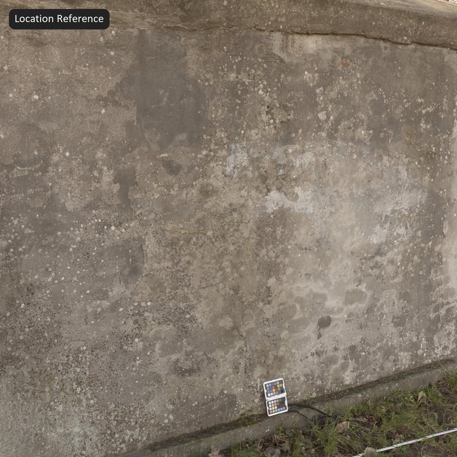 Textura de Parede de Betão Moldado com Líquenes, Cinzento Acastanhado