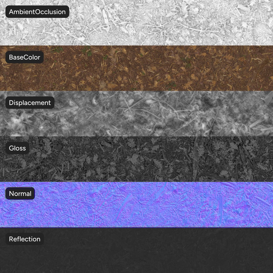 Detritos de folhas na textura da floresta